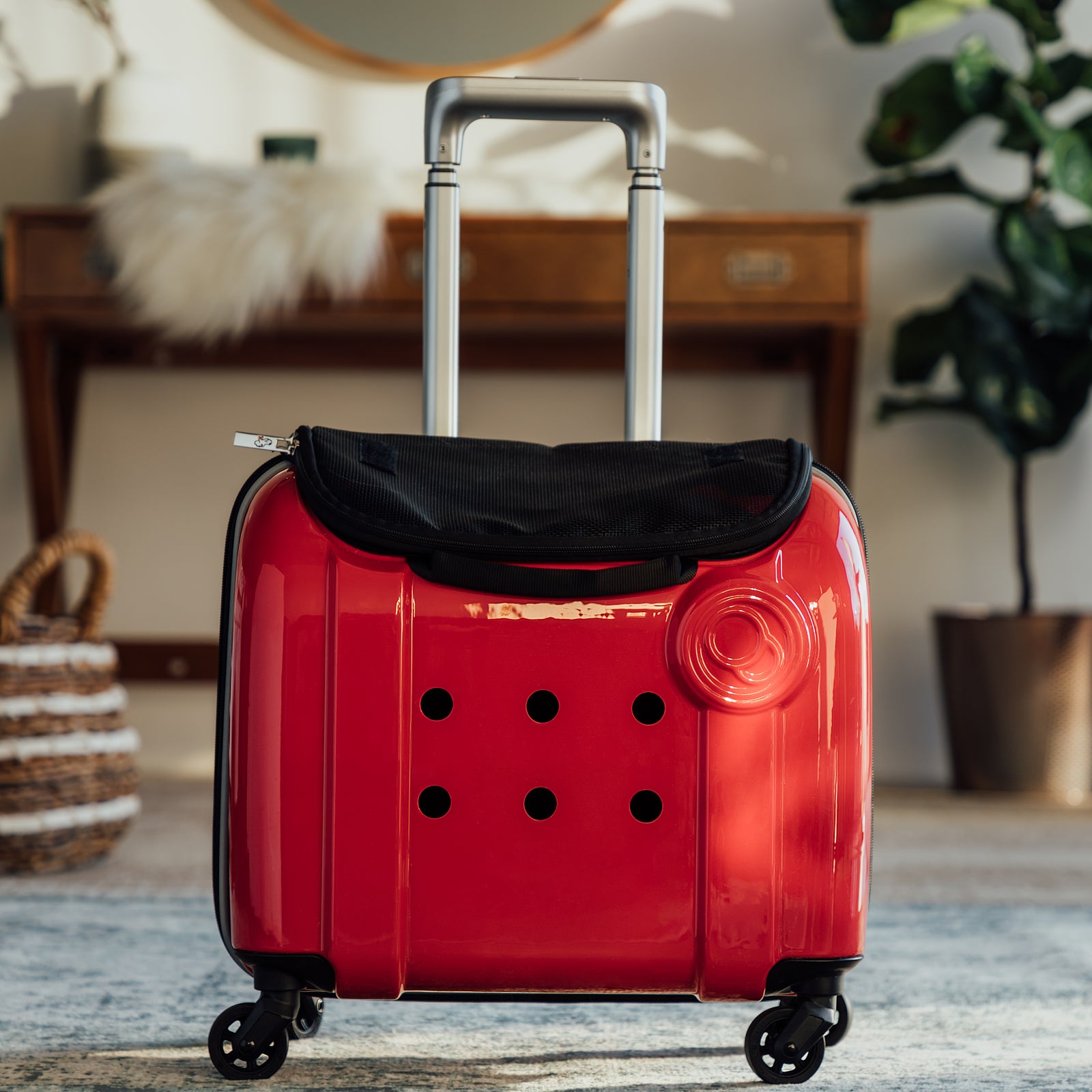 12_1600x.jpg?v=1647114271